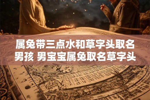 属兔带三点水和草字头取名男孩 男宝宝属兔取名草字头三点水