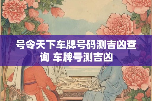号令天下车牌号码测吉凶查询 车牌号测吉凶