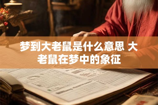 梦到大老鼠是什么意思 大老鼠在梦中的象征