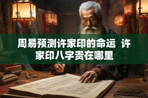 周易预测许家印的命运  许家印八字贵在哪里