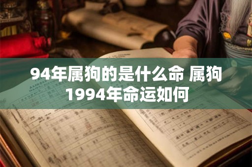 94年属狗的是什么命 属狗1994年命运如何
