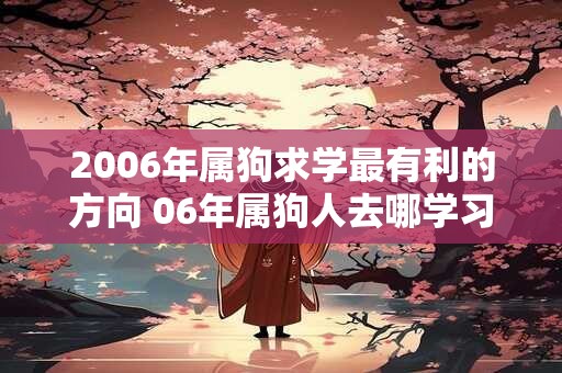 2006年属狗求学最有利的方向 06年属狗人去哪学习好