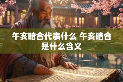 午亥暗合代表什么 午亥暗合是什么含义