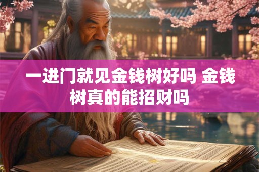 一进门就见金钱树好吗 金钱树真的能招财吗