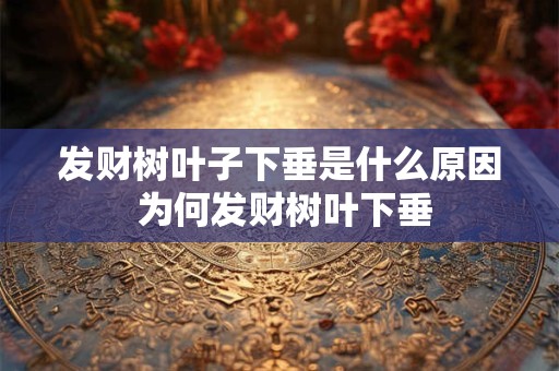 发财树叶子下垂是什么原因 为何发财树叶下垂