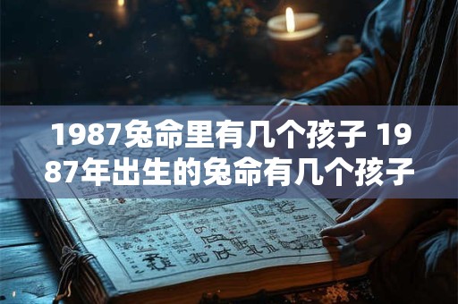 1987兔命里有几个孩子 1987年出生的兔命有几个孩子