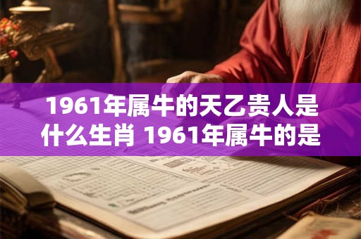 1961年属牛的天乙贵人是什么生肖 1961年属牛的是什么命