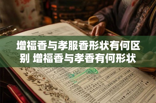 增福香与孝服香形状有何区别 增福香与孝香有何形状区别