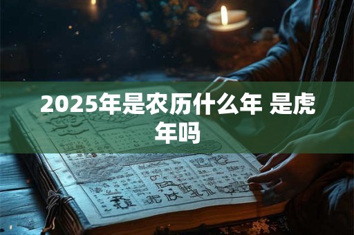 2025年是农历什么年 是虎年吗