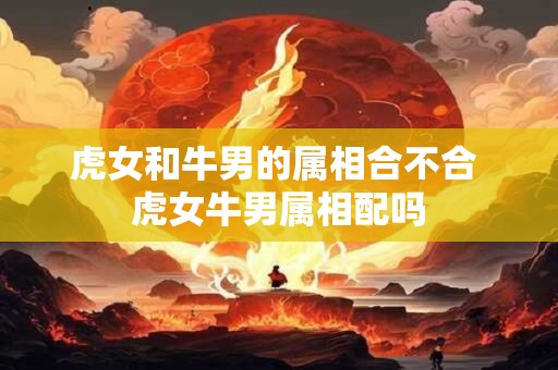 虎女和牛男的属相合不合 虎女牛男属相配吗