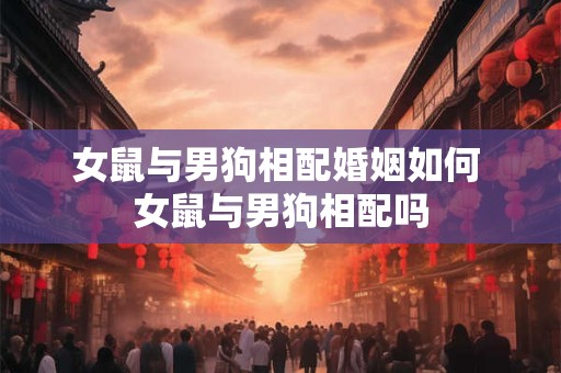 女鼠与男狗相配婚姻如何 女鼠与男狗相配吗