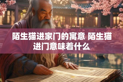 陌生猫进家门的寓意 陌生猫进门意味着什么