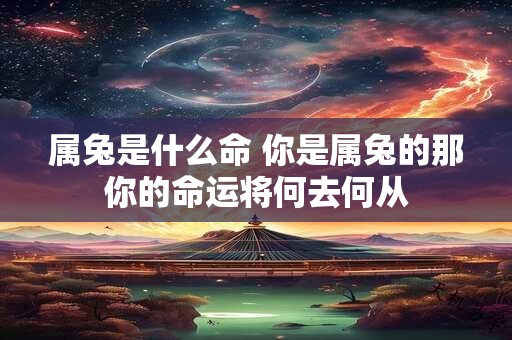 属兔是什么命 你是属兔的那你的命运将何去何从