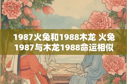 1987火兔和1988木龙 火兔1987与木龙1988命运相似吗