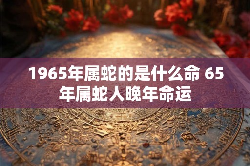 1965年属蛇的是什么命 65年属蛇人晚年命运 1965年属蛇的是什么命 65年属蛇人晚年命运