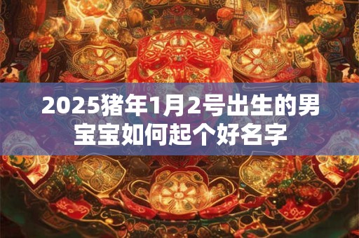 2026猪年1月2号出生的男宝宝如何起个好名字