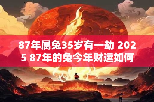 87年属兔35岁有一劫 2025 87年的兔今年财运如何