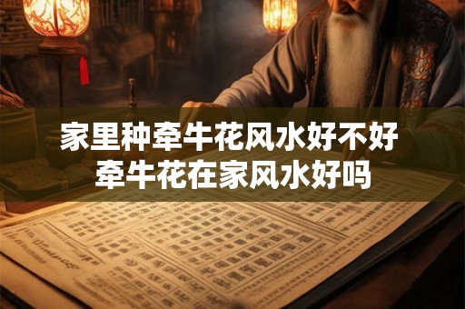 家里种牵牛花风水好不好 牵牛花在家风水好吗