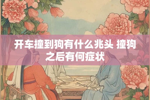 开车撞到狗有什么兆头 撞狗之后有何症状