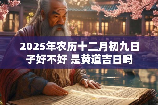 2025年农历十二月初九日子好不好 是黄道吉日吗