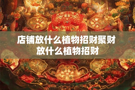 店铺放什么植物招财聚财 放什么植物招财