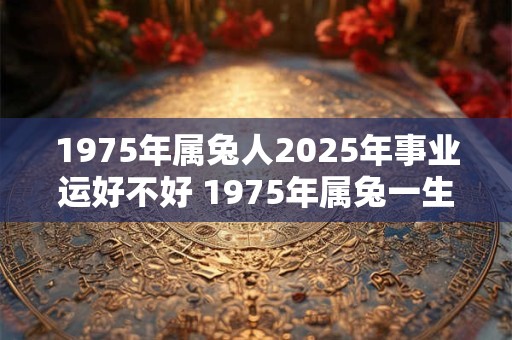 1975年属兔人2025年事业运好不好 1975年属兔一生三大坎