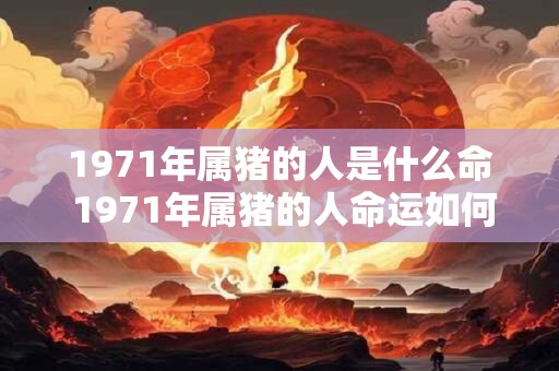1971年属猪的人是什么命 1971年属猪的人命运如何
