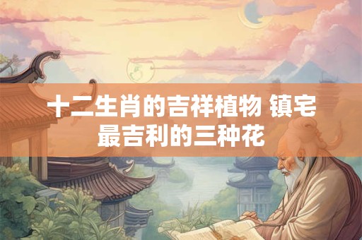 十二生肖的吉祥植物 镇宅最吉利的三种花