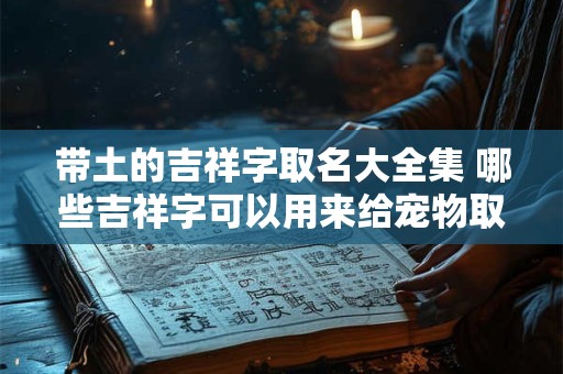 带土的吉祥字取名大全集 哪些吉祥字可以用来给宠物取名