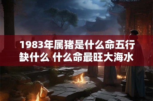 1983年属猪是什么命五行缺什么 什么命最旺大海水命