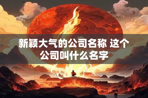 新颖大气的公司名称 这个公司叫什么名字