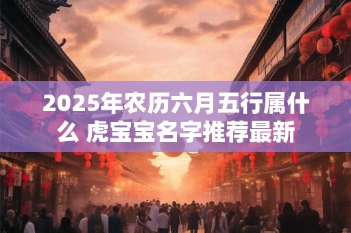 2025年农历六月五行属什么 虎宝宝名字推荐最新