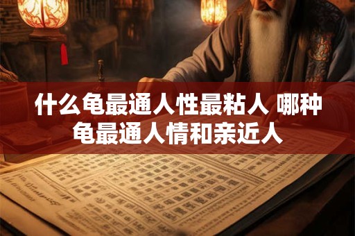什么龟最通人性最粘人 哪种龟最通人情和亲近人