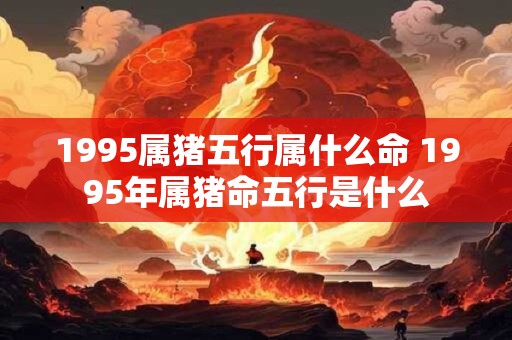 1995属猪五行属什么命 1995年属猪命五行是什么