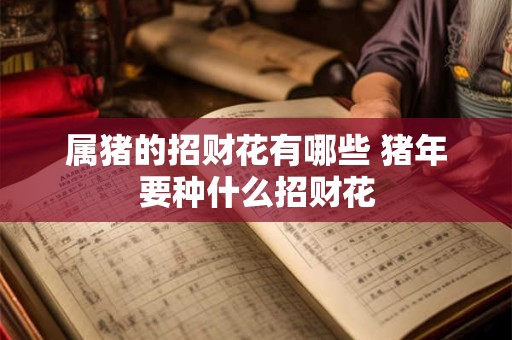 属猪的招财花有哪些 猪年要种什么招财花