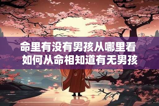 命里有没有男孩从哪里看 如何从命相知道有无男孩