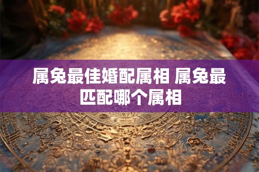 属兔最佳婚配属相 属兔最匹配哪个属相