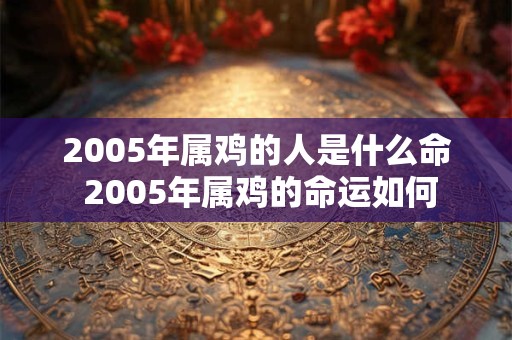 2005年属鸡的人是什么命 2005年属鸡的命运如何