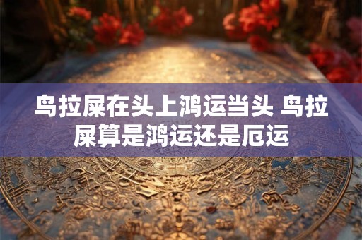 鸟拉屎在头上鸿运当头 鸟拉屎算是鸿运还是厄运