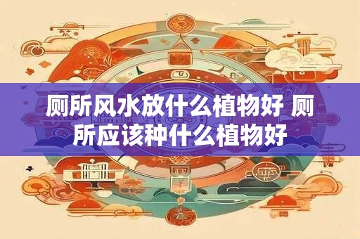厕所风水放什么植物好 厕所应该种什么植物好