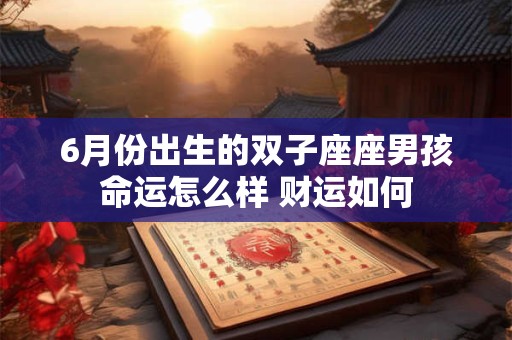 6月份出生的双子座座男孩命运怎么样 财运如何