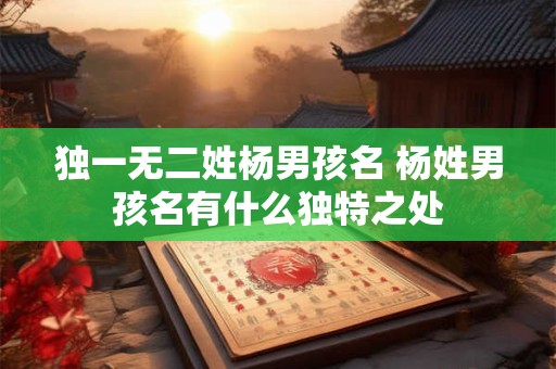 独一无二姓杨男孩名 杨姓男孩名有什么独特之处