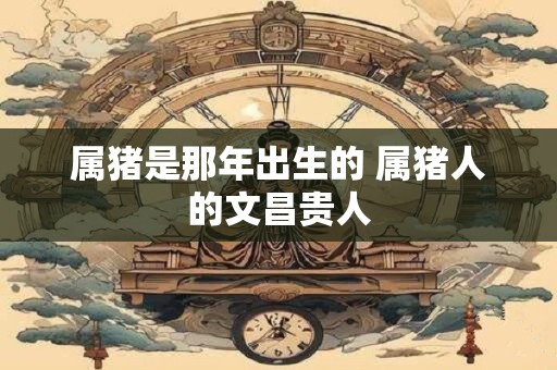 属猪是那年出生的 属猪人的文昌贵人