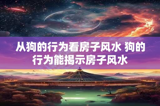 从狗的行为看房子风水 狗的行为能揭示房子风水