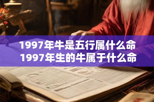 1997年牛是五行属什么命 1997年生的牛属于什么命