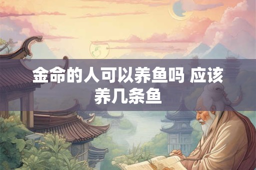 金命的人可以养鱼吗 应该养几条鱼