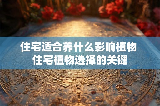 住宅适合养什么影响植物 住宅植物选择的关键