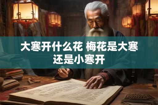 大寒开什么花 梅花是大寒还是小寒开