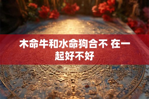 木命牛和水命狗合不 在一起好不好