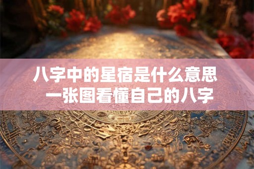 八字中的星宿是什么意思  一张图看懂自己的八字